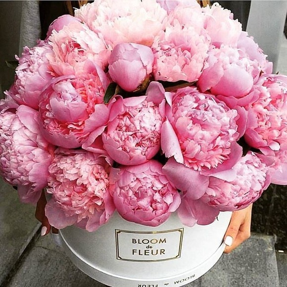 pinkpeony33